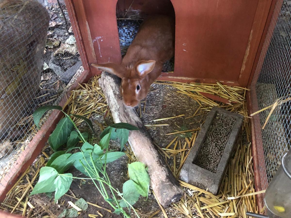 La Fresnaie : ,table D'hotes & Bed & Breakfast